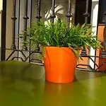 Rulosol 2 דירה טורמולינוס