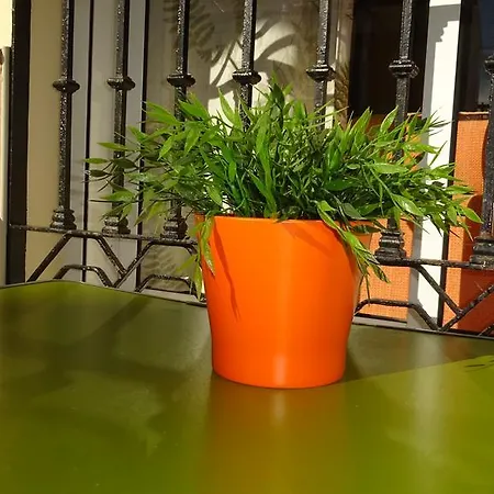 Rulosol 2 Lägenhet Torremolinos